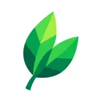 Verdu: Your AI Nutrition Coach iOS Icon