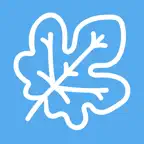 LinguaLeaf Icon