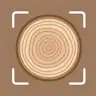 Wood identifier - Wood ID
