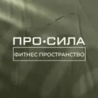 ПРО СИЛА iOS Icon
