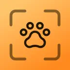 Dog Scanner—Breed Identifier iOS Icon