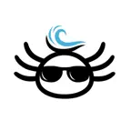 PocketFlow: Water Simulator Icon