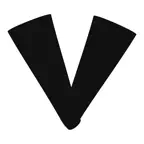 VibeCheck Dashboard iOS Icon