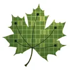 Fotoelektron - Solar Club iOS Icon
