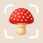Mushroom Identifier: ShroomPic iOS Icon