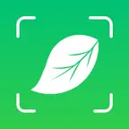 PlantCheck: Plant Identifier iOS Icon