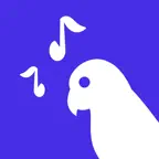 ParrotLoop:Recorder and Looper iOS Icon