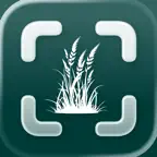 Grass Identifier: Meadlens iOS Icon