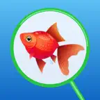 Kingyosukui -ZERO- iOS Icon