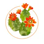 Cactus Bloom iOS Icon