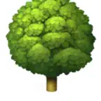 Focus Garden Focus Timer iOS Icon