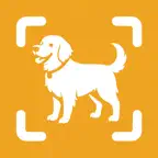 Dog Breed Identifier & Scan AI iOS Icon