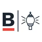 StreetlightOps for Boston DPW iOS Icon