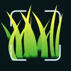 Grass Identifier: AI Lawn Scan iOS Icon