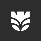 Unimiami Icon
