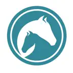 ALMATY HILLS iOS Icon