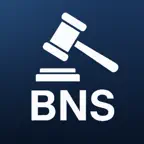 BNS AI iOS Icon