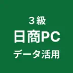 日商PC検定 データ活用 ３級 iOS Icon