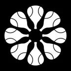 The Padel Network iOS Icon