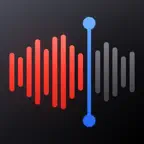 Voice Recorder - Audio Memos icon