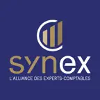 App.SYNEX iOS Icon