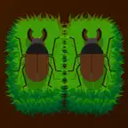 Beetle Identifier: Kabuto Hunt iOS Icon