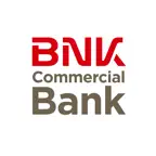 BNK kz Icon