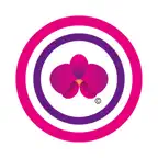 Arabela One iOS Icon