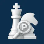 PVChess Premium iOS Icon