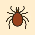 Tick : Tick Identifier iOS Icon