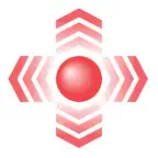 Driving Assist - G-Force Meter iOS Icon