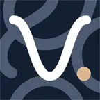 Viaveo Icon