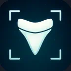 Shark Tooth Identifier: Scan iOS Icon