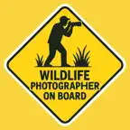 Photography Stickers - Fluntro iOS Icon