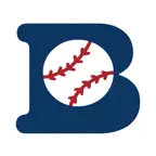 BruceBaseball icon