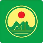 Mai Linh Go Icon