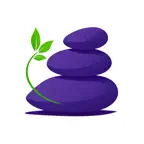 WaZen: Goals, Habits, Balance iOS Icon