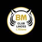 CLUB BALONMANO LINCES L'ELIANA iOS Icon