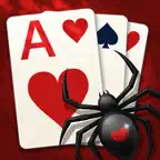 Spider Solitaire Large Cards iOS Icon