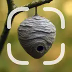 Nest Identifier iOS Icon