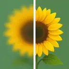 Unblur Image: AI Remove Blur iOS Icon