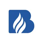 Beinat Devices Icon