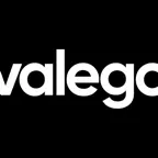 Valego Kurumsal Icon