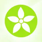 Syriaz Icon