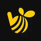 CarryBee Agent Icon