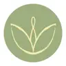 Green studio