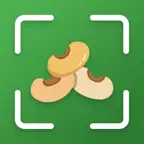 Seed Identifier : Seedify iOS Icon