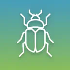 Insect Identifier Vision iOS Icon