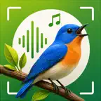 Bird Identifier: Call & Sound iOS Icon