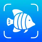 Fish Identifier – Fishium iOS Icon
